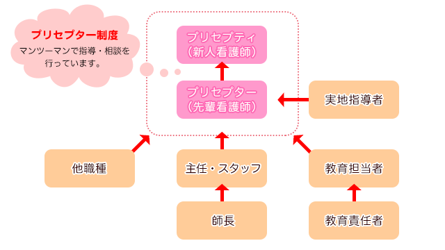 新人支援体制図